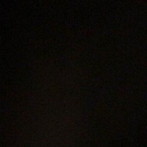 Meet your Posher, Natasha